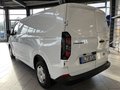 Daumennagel 4 - Ford Transit Custom Kasten 320 L2 Trend FWD