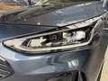 Daumennagel 14 - Ford Focus ST-Line X HUD + Matrix + ACC