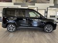 Daumennagel 4 - Ford Tourneo Courier Titanium + AHK