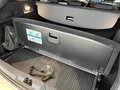 Daumennagel 14 - Ford Focus Turnier ST-Line ACC + B&O + AHK