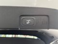 Daumennagel 14 - Ford Puma  ST-Line