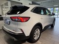 Daumennagel 8 - Ford Kuga Titanium Fahrerassistenz + AHK + Winter 2