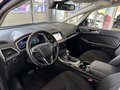 Daumennagel 7 - Ford S-MAX Titanium