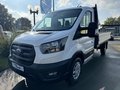 Daumennagel 2 - Ford Transit Pritsche 350 L3 Einzelkabine Trend