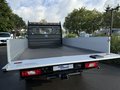 Daumennagel 4 - Ford Transit Pritsche 350 L3 Einzelkabine Trend