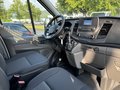 Daumennagel 12 - Ford Transit Pritsche 350 L3 Einzelkabine Trend