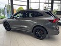 Daumennagel 3 - Ford Kuga FHEV Hybrid ST-Line X Black Package AWD