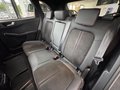 Daumennagel 12 - Ford Kuga FHEV Hybrid ST-Line X Black Package AWD