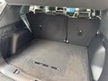 Daumennagel 13 - Ford Kuga FHEV Hybrid ST-Line X Black Package AWD