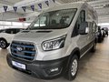 Daumennagel 1 - Ford Transit E Kasten 350 L2 Trend