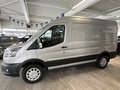 Daumennagel 2 - Ford Transit E Kasten 350 L2 Trend