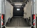 Daumennagel 13 - Ford Transit E Kasten 350 L2 Trend
