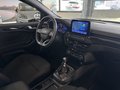 Daumennagel 10 - Ford Focus Turnier ST-Line X