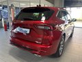 Daumennagel 3 - Ford Kuga FHEV Hybrid ST-Line