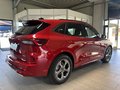 Daumennagel 4 - Ford Kuga FHEV Hybrid ST-Line