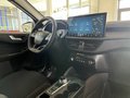 Daumennagel 16 - Ford Kuga FHEV Hybrid ST-Line