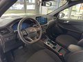 Daumennagel 8 - Ford Kuga FHEV Hybrid ST-Line Matrix LED + schwb. AHK