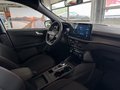 Daumennagel 10 - Ford Kuga FHEV Hybrid ST-Line Matrix LED + schwb. AHK