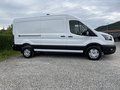 Daumennagel 4 - Ford Transit Kastenwagen 350 L3 H2 Trend