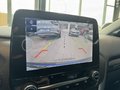 Daumennagel 13 - Ford Puma Titanium X
