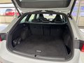 Daumennagel 15 - CUPRA Leon  Sportstourer VZ 4Drive + Pano + AHK