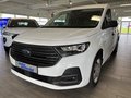 Daumennagel 1 - Ford Transit Connect Trend L2 Kasten