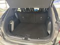 Daumennagel 14 - Ford Kuga FHEV Hybrid ST-Line X AWD