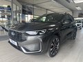 Daumennagel 1 - Ford Kuga FHEV Hybrid ST-Line X AWD