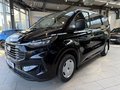 Daumennagel 2 - Ford Transit Custom Kasten 320 L1 Trend FWD