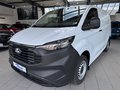 Daumennagel 1 - Ford Transit Custom Kasten 280 L1 FWD + Holzboden + Kamera