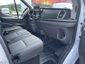 Daumennagel 11 - Ford Transit Kasten 350 L3 H3 Trend