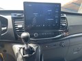 Daumennagel 9 - Ford Transit Kasten 350 L3 H3 Trend