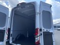 Daumennagel 13 - Ford Transit Kasten 350 L3 H3 Trend
