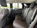 Daumennagel 11 - Ford Kuga FHEV Hybrid Active HeadUp