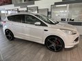 Daumennagel 4 - Ford Kuga  Individual 4x4 + AHK + Bi-Xenon + 21"