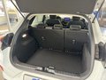 Daumennagel 12 - Ford Puma Titanium Design