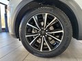 Daumennagel 8 - Ford Puma Titanium Design
