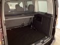 Daumennagel 4 - Ford Tourneo Connect Titanium Kamera + Navi