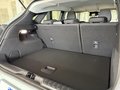 Daumennagel 4 - Ford Puma  Titanium