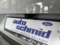Daumennagel 5 - Ford Puma  Titanium
