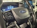 Daumennagel 14 - Ford Transit Custom Kasten 320 L1 Trend ACC + LED