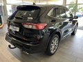 Daumennagel 4 - Ford Kuga Plug-In Hybrid PHEV Vignale Fahreras.