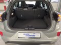 Daumennagel 13 - Ford Puma ST-Line Automatik + Matrix + Fahrerassist.