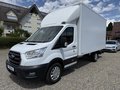 Daumennagel 2 - Ford Transit Koffer 350 L4 Einzelkabine Trend