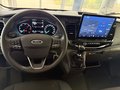 Daumennagel 11 - Ford Transit Kastenwagen 350 L4 H3 Trend