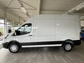 Daumennagel 2 - Ford Transit Kasten 350 L3 H3 Trend ACC + 360° Kamera