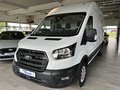 Daumennagel 1 - Ford Transit Kasten 350 L3 H3 Trend ACC + 360° Kamera
