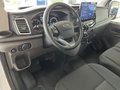 Daumennagel 7 - Ford Transit Kasten 350 L3 H3 Trend ACC + 360° Kamera