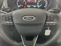 Daumennagel 13 - Ford Transit Kasten 350 L3 H3 Trend ACC + 360° Kamera
