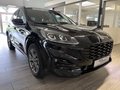 Daumennagel 4 - Ford Kuga Plug-In Hybrid ST-Line